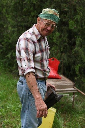 Roger couvert d'abeilles